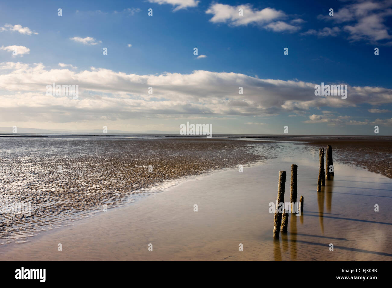 Pillars on Berrow Beach, Somerset Stock Photo - Alamy