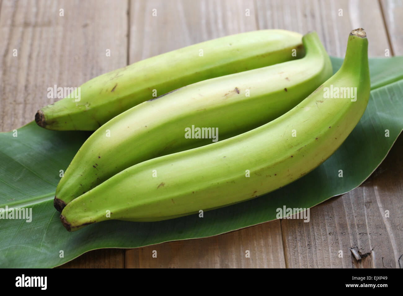 Plantain hires stock photography and images Alamy