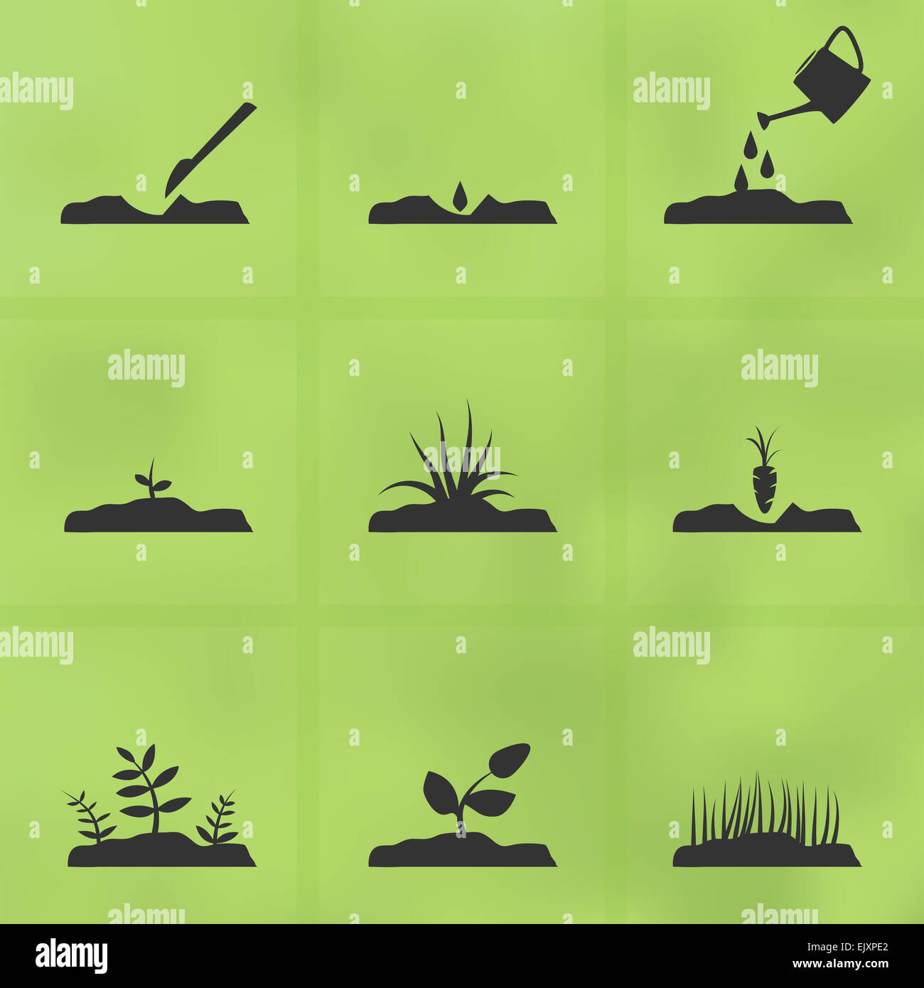 Set of garden icons, illustrating stages of growing plant from seeds. Stock Photo