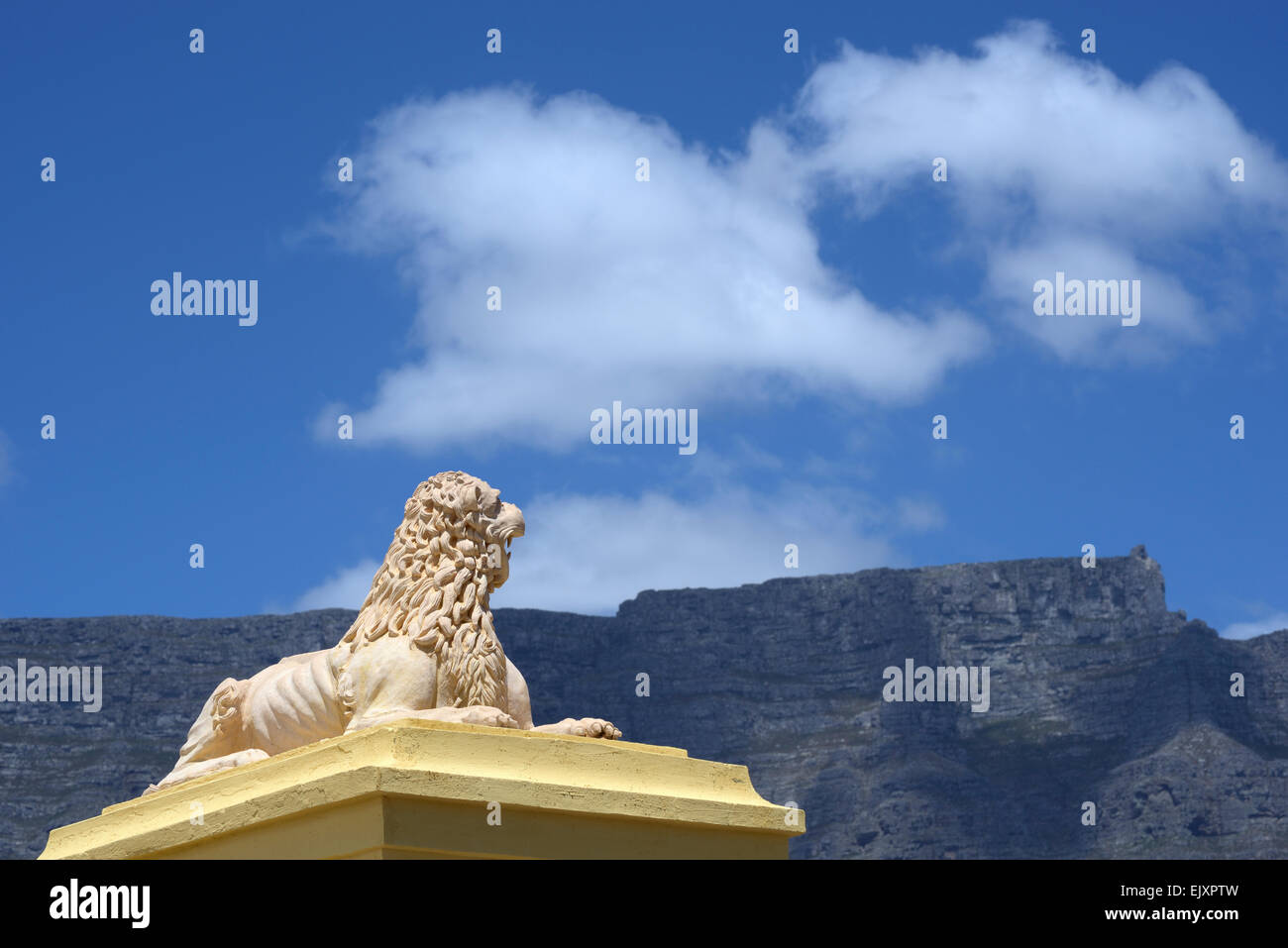 lion statue in front of Table Mountain, Cape Town, South Africa Stock ...