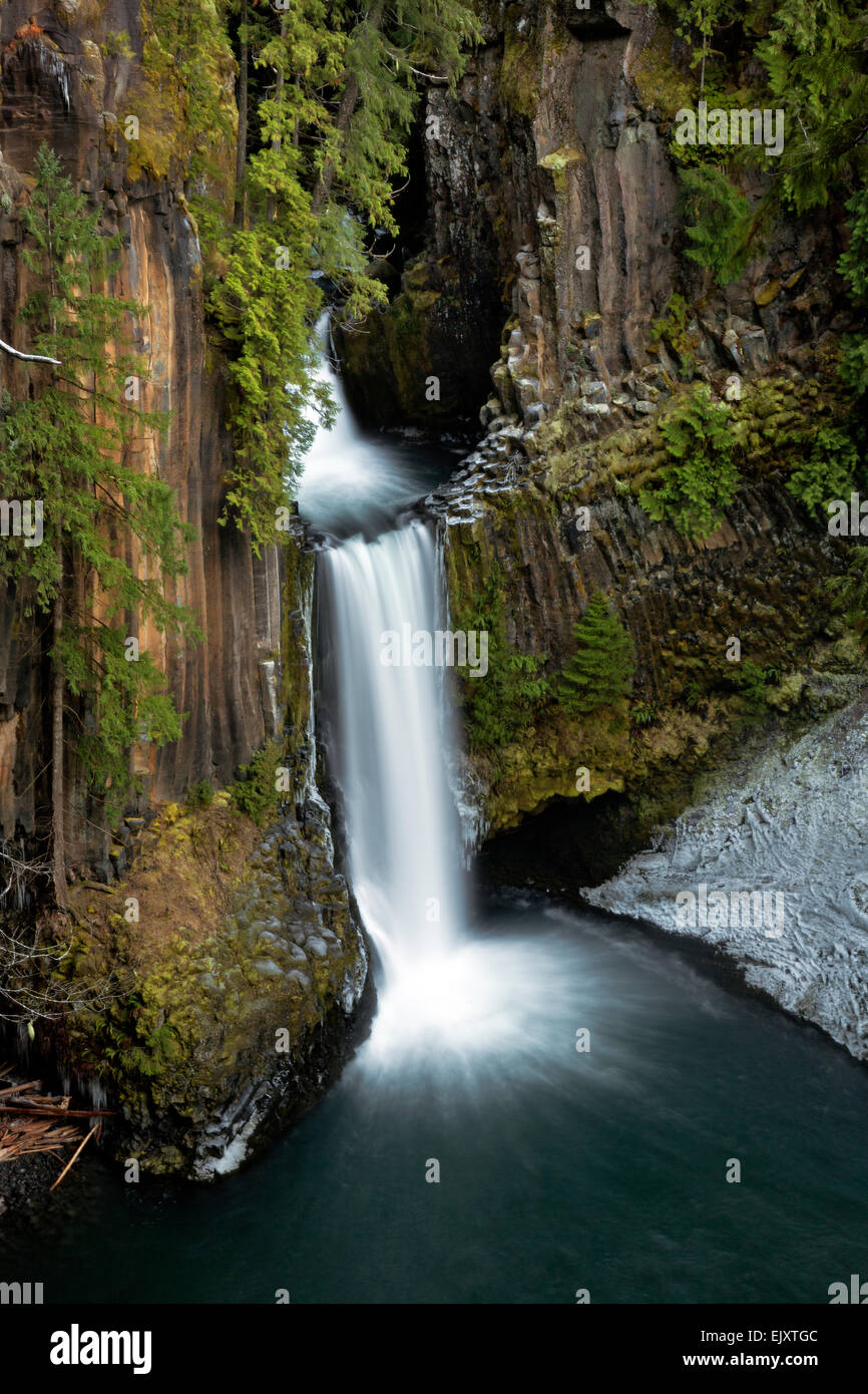 OR02097-00...OREGON - Toketee Falls in the Umpqua National Forest. Stock Photo