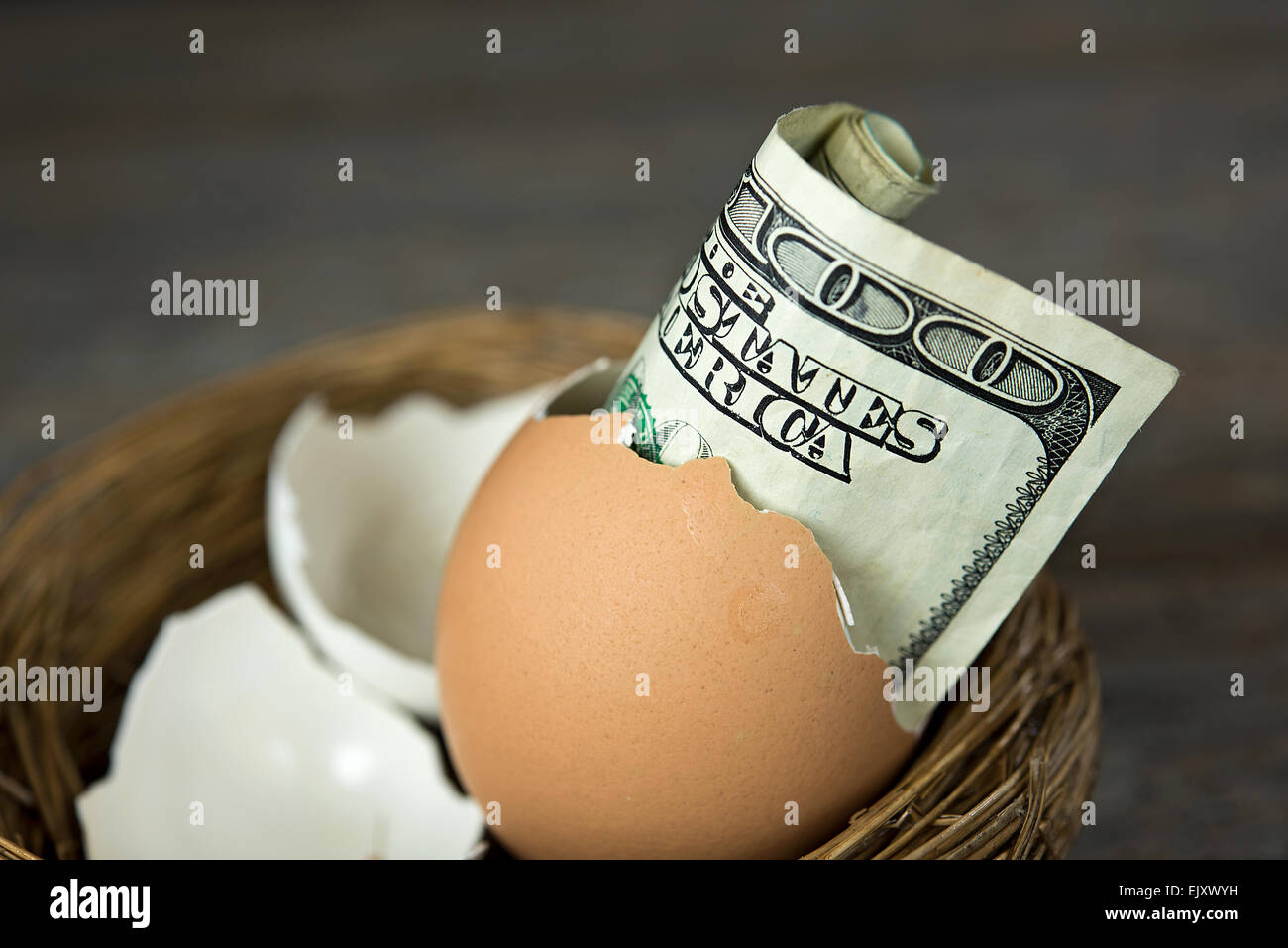 Hundred dollar bill in a brown egg in nest. Stock Photo