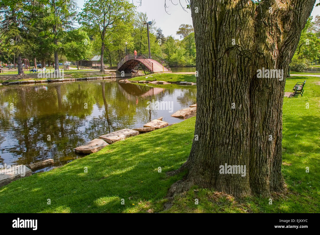Elm Park in Worcester, MA Stock Photo Alamy