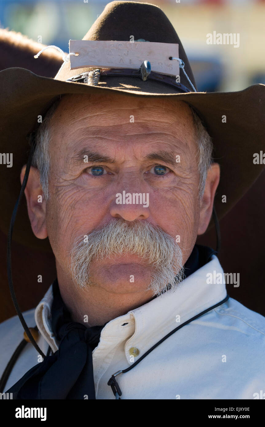 Bison Roundup, Custer State Park, Black Hills, South Dakota, USA Stock