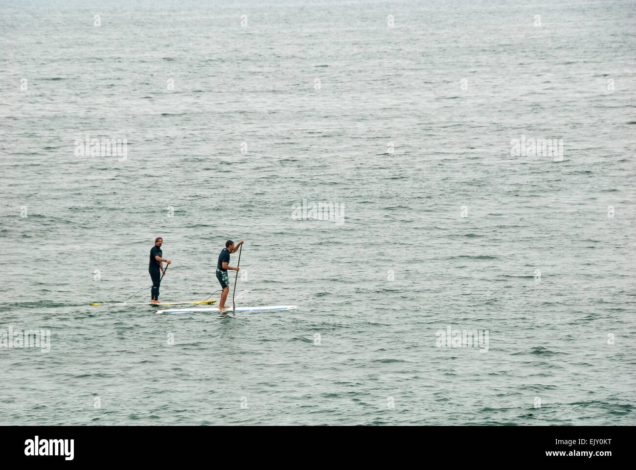 Stand-up paddleboarders paddling along the coast at Manhattan Beach, California, USA. Stock Photo