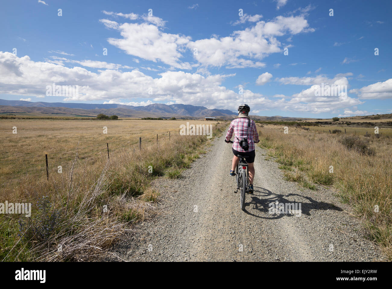 Female cyclist cycling the Otago Bike Trail, south island, New Zealand. Stock Photo