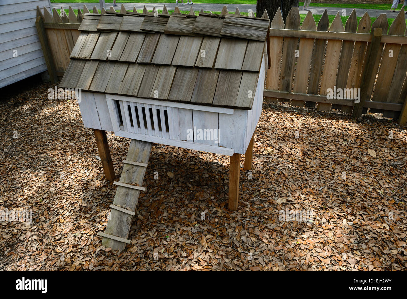 Chicken Coop Farm Farming Raised Raise Protect Oak Alley Plantation