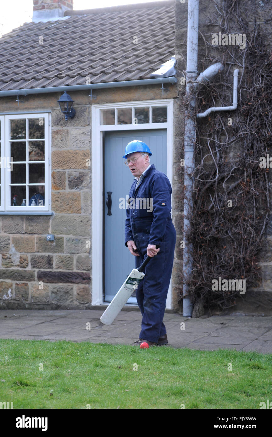 Grandfather playing cricket in the garden with his grandson. Stock Photo