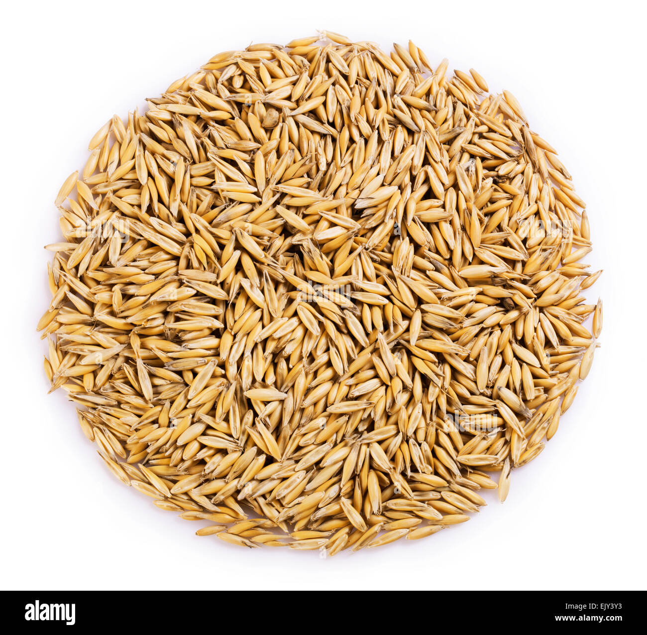 pile of oat grains isolated on white background Stock Photo