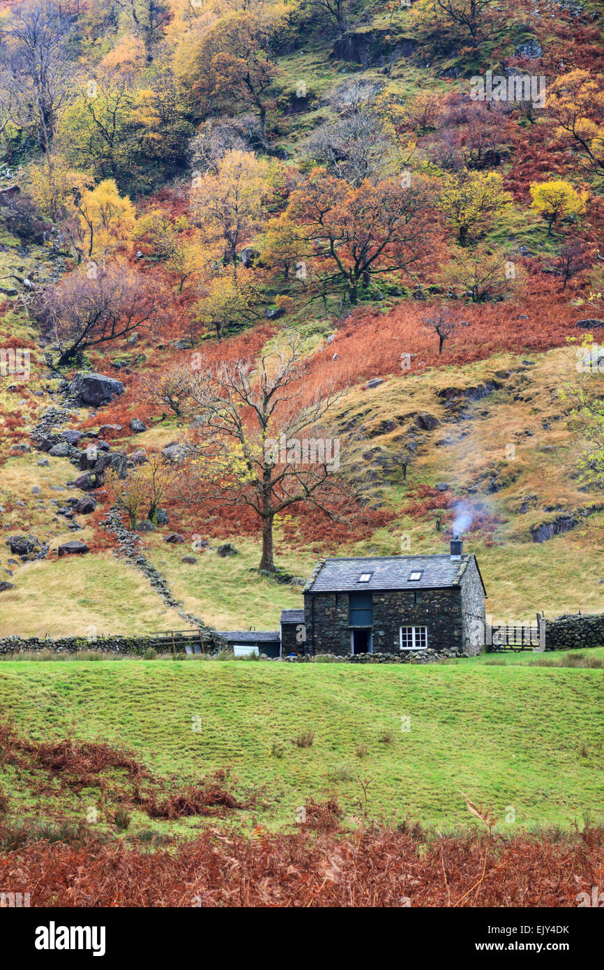 Alisongrass Hoghouse near Stonethwaite in the Lake District National Park. Stock Photo