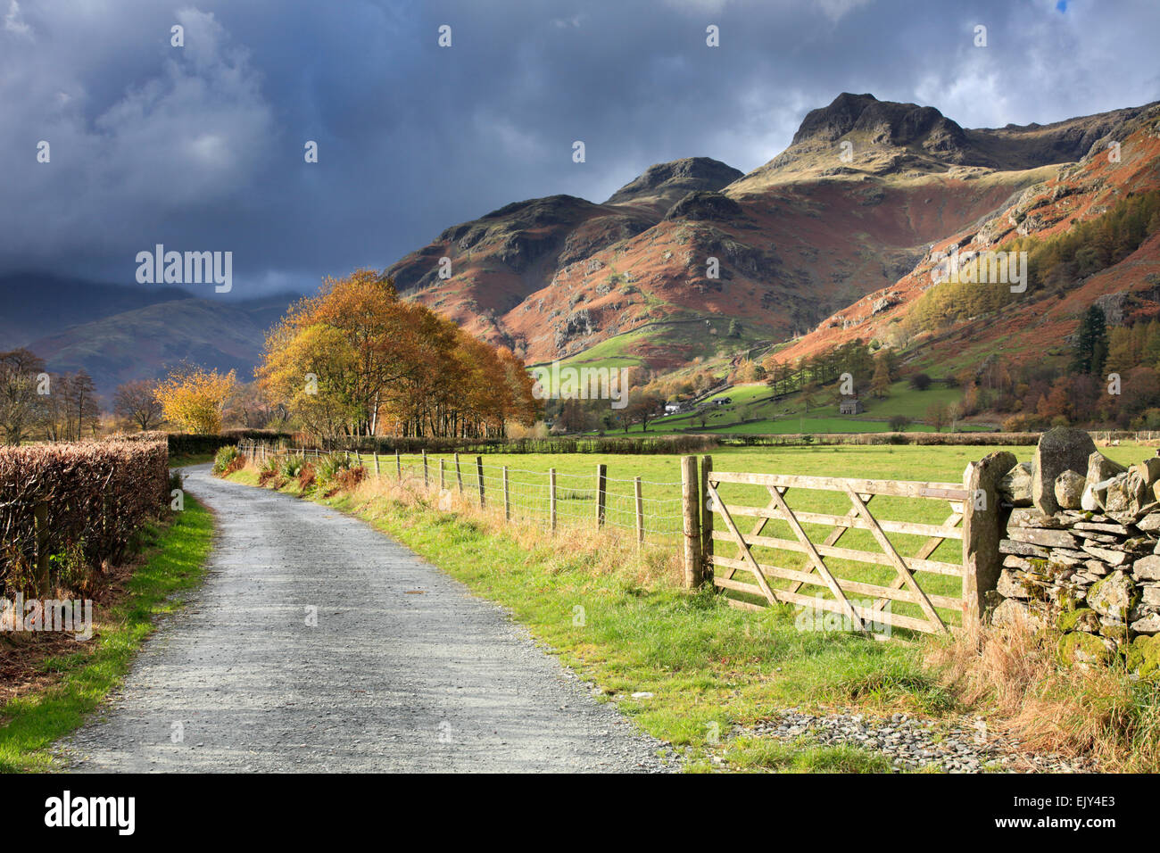 Green Lane in Great Langdale in the Lake District National Park. Stock Photo