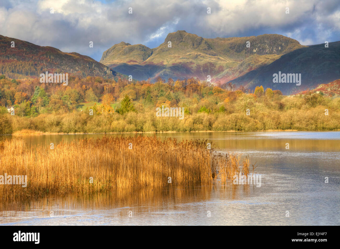Elterwater with the Langdale Pikes in the distance. Stock Photo