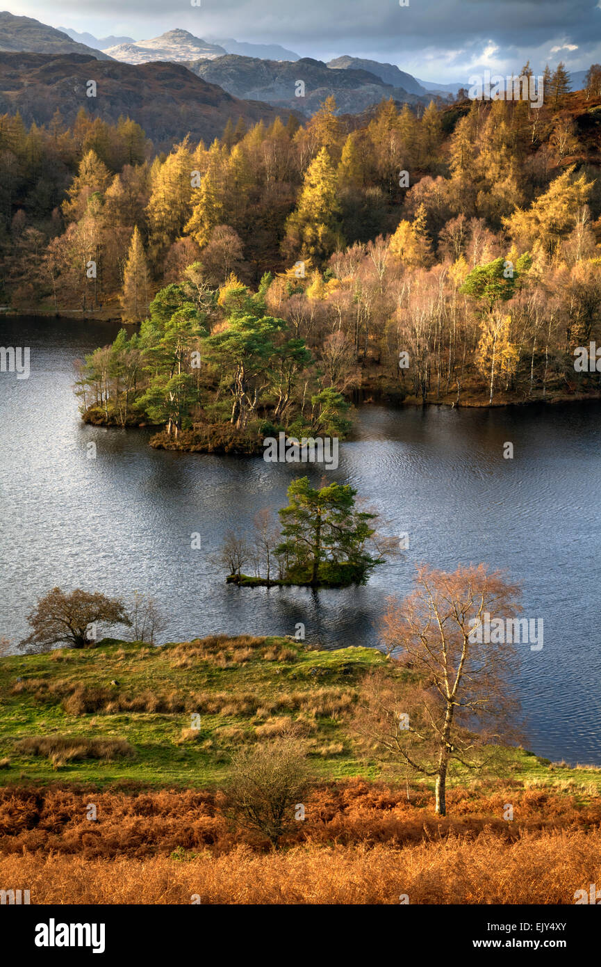 Tarn Hows in the Lake District National Park, captured on an evening in early November from near the Scott Monument. Stock Photo
