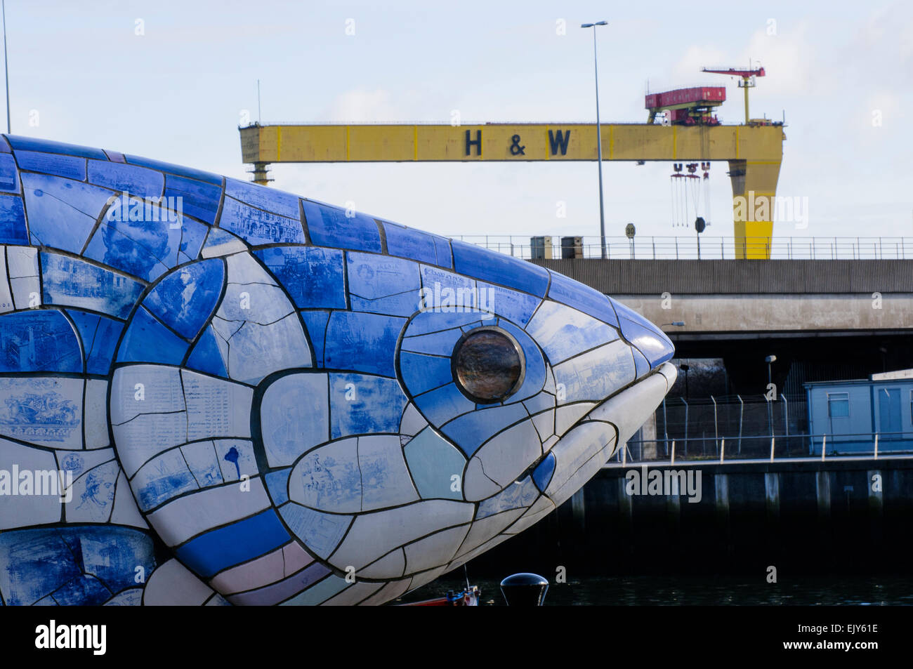 Big Blue Fish High Resolution Stock Photography and Images Alamy