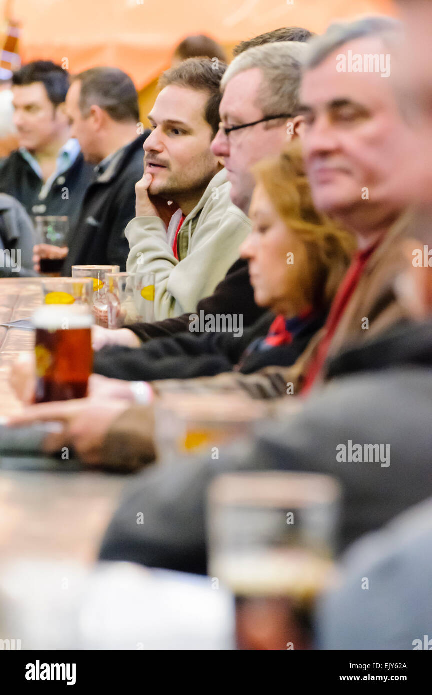 Customers enjoying their pints at a CAMRA real ale festival. Stock Photo