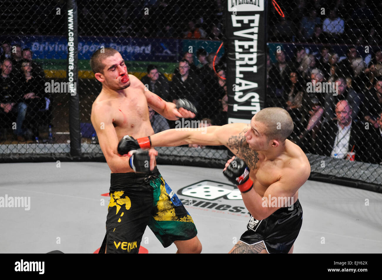 MMA cage figher punches his opponent in the nose, breaking it. Stock Photo