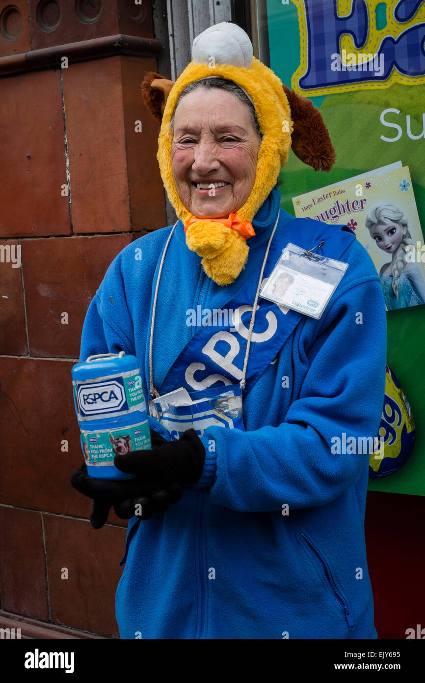 Charity fund raising an elderly woman volunteer collecting cash Stock