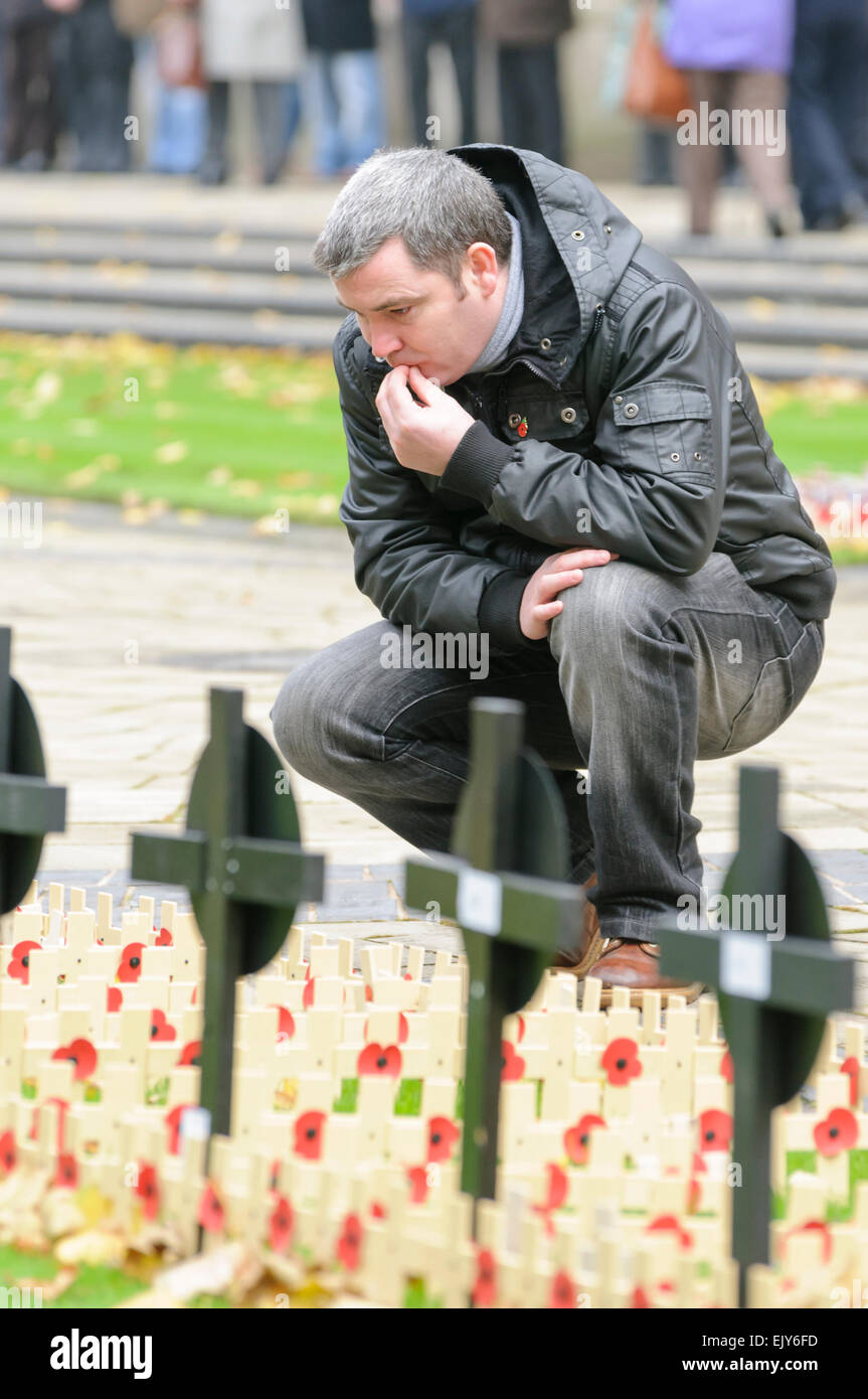 Man reads the messages on wooden crosses with poppies laid for Remembrance Day. Stock Photo