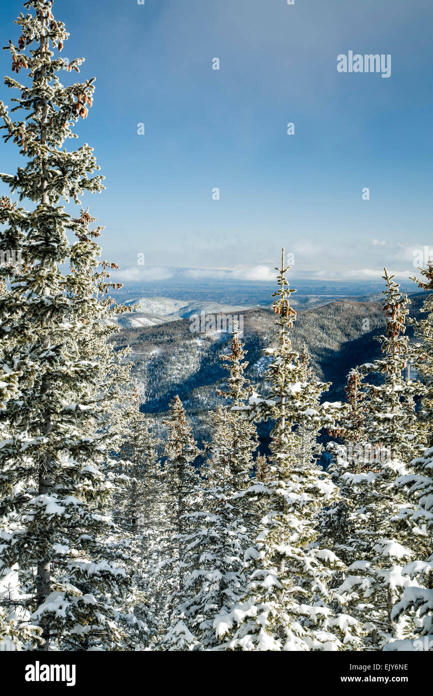 Snow-covered trees and mountains, Ravens Ridge Trail, Santa Fe National Forest, near Santa Fe, New Mexico USA Stock Photo