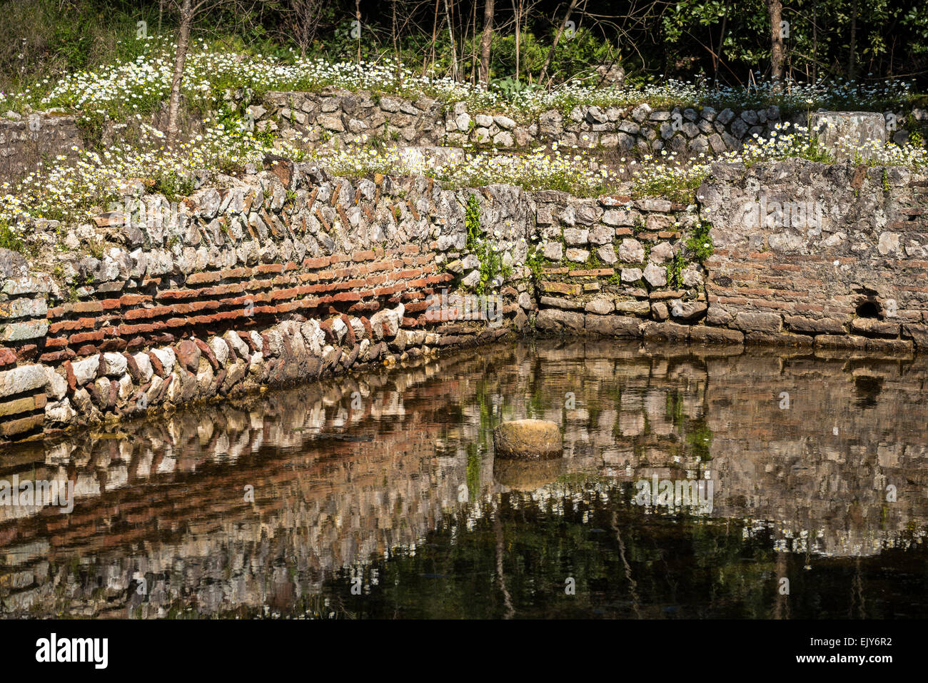 The flooded remains of roman walls by the gymnasium at Ancient Butrint ...