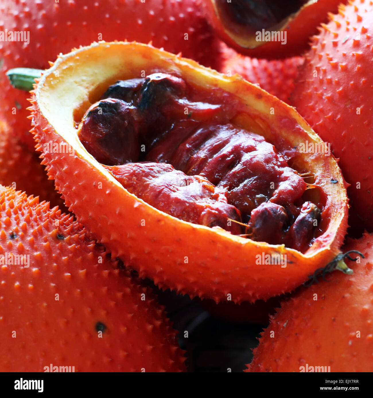 Gac fruit at fruit market Stock Photo Alamy