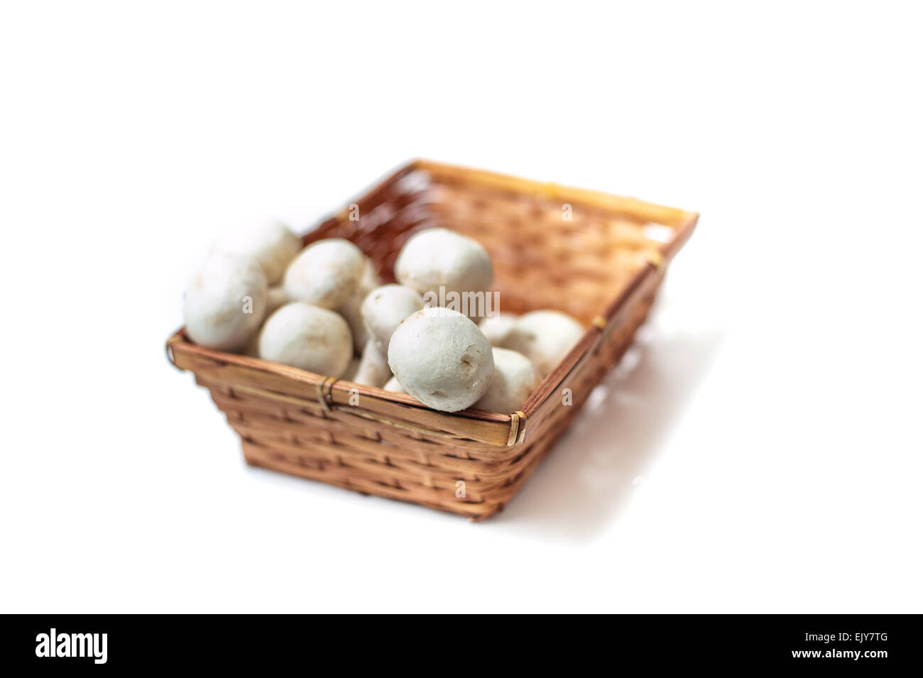 Brown basket with bunch of white raw cultivated champignons on mushrooms white background, close up with differential focus Stock Photo