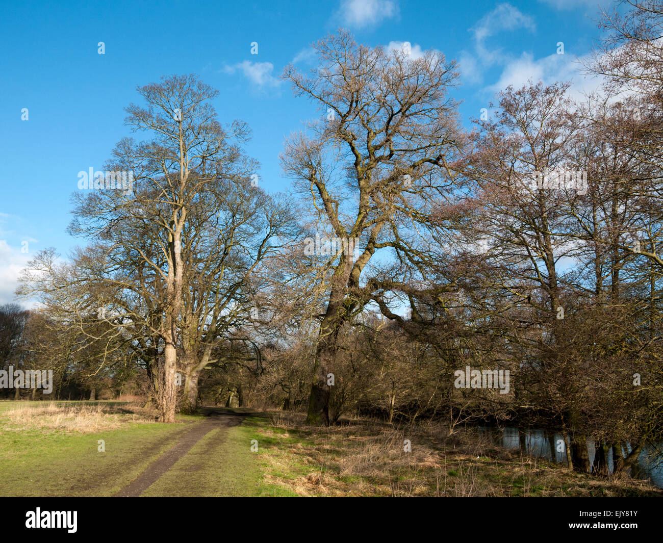 The river Derwent at Darley Abbey Park, Derby, England, UK Stock Photo