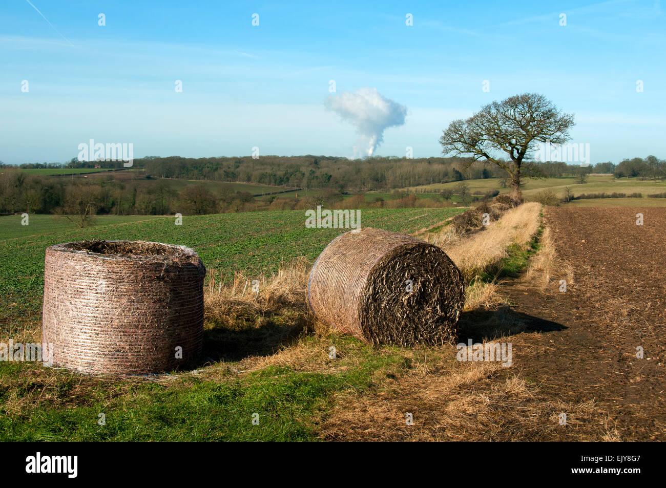 Hay bales in a field, Nottinghamshire, UK.  In the distance is steam rising from the Ratcliffe-on-Soar power station. Stock Photo