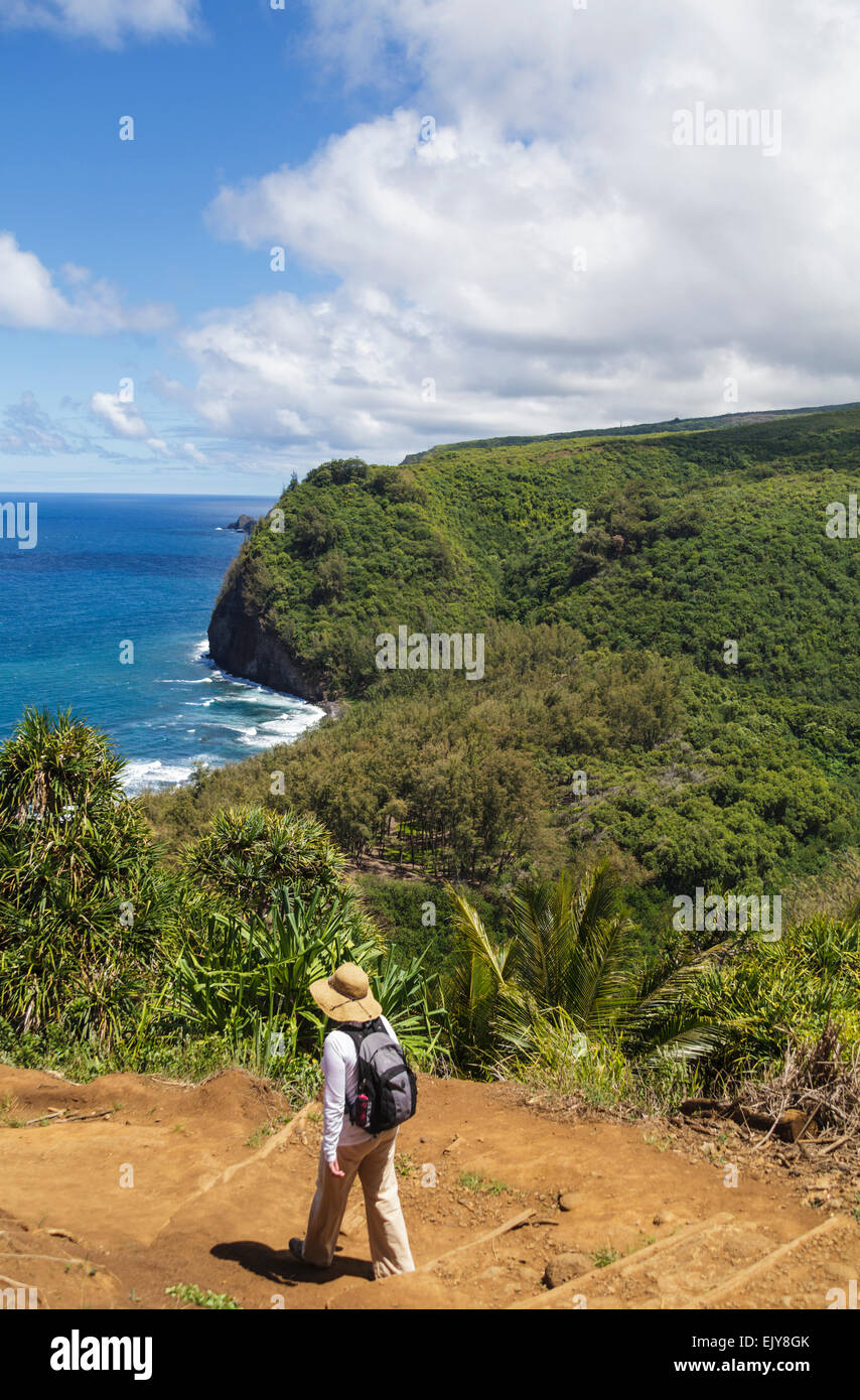 Hiker ventures on trail into Pololu Valley on the Big Island of Hawaii Stock Photo