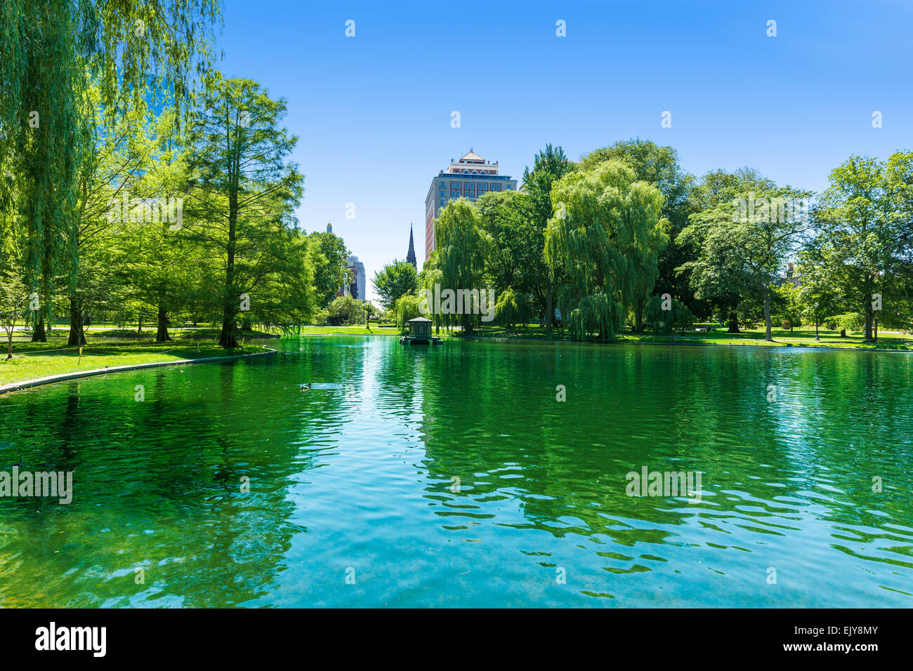Boston common spring hi-res stock photography and images - Alamy