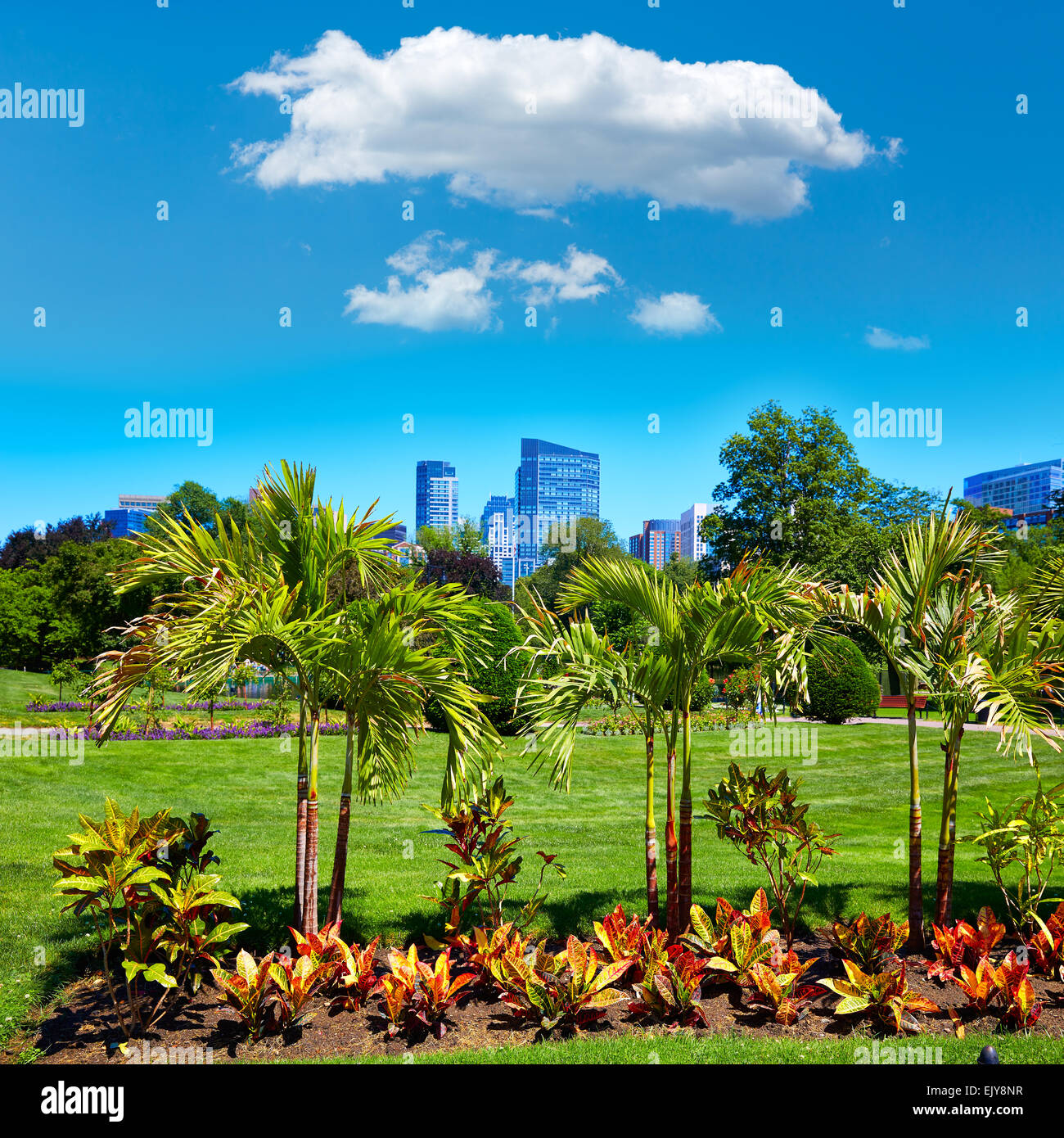 Boston Common park gardens and skyline in Massachusetts USA Stock Photo