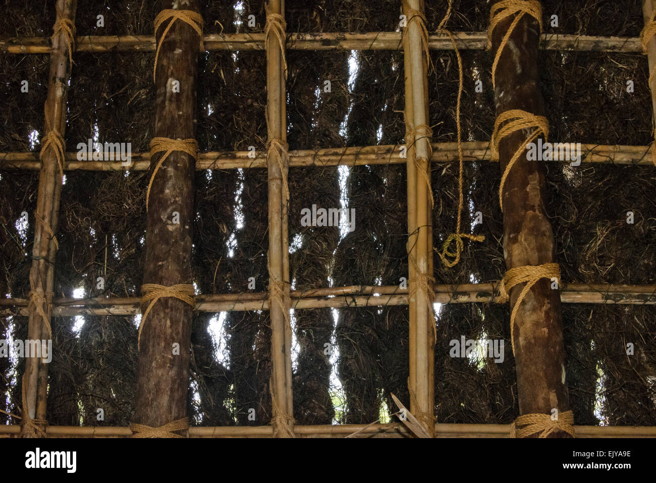 Vine ropes hi-res stock photography and images - Alamy