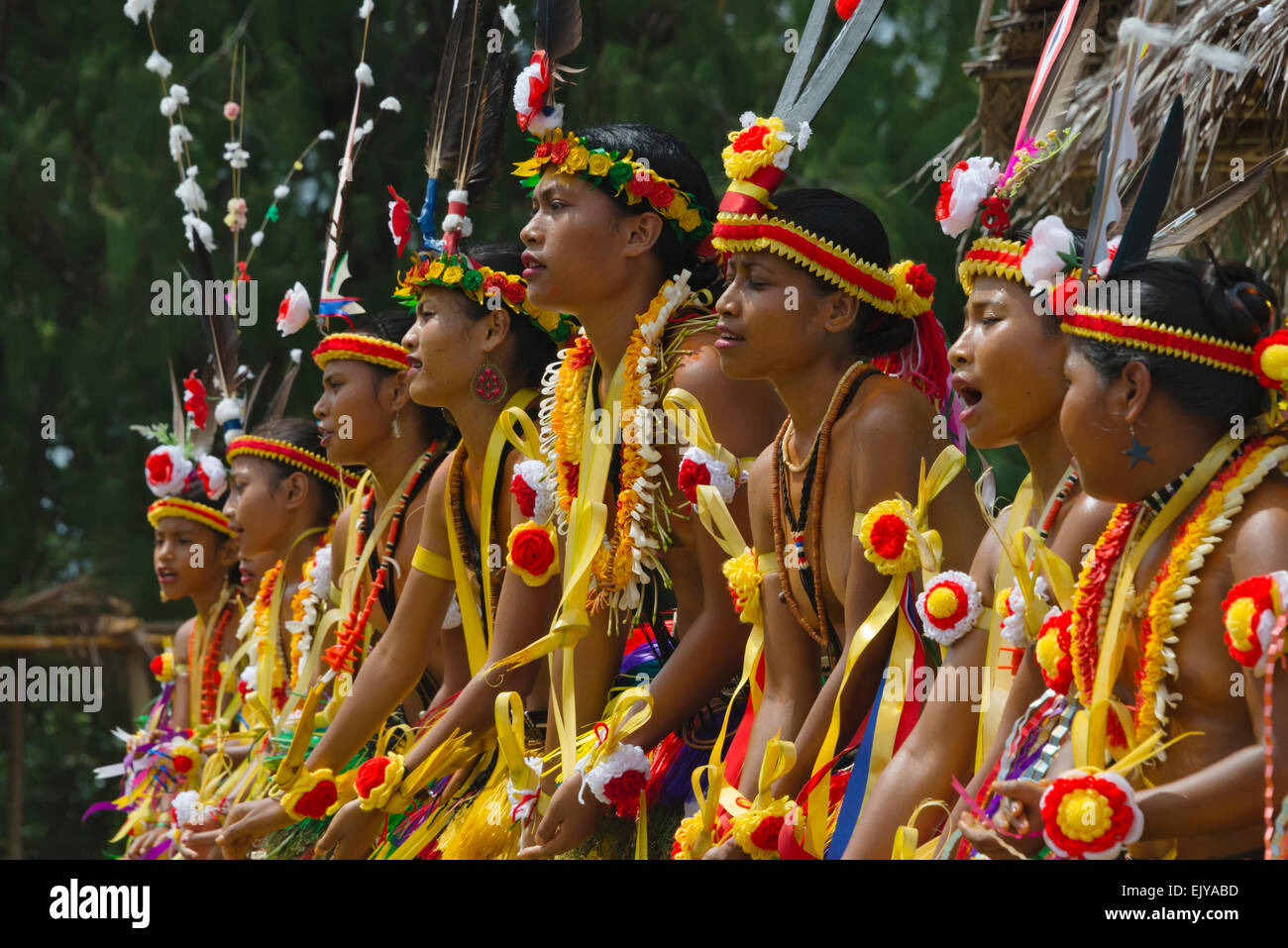 Yapese girls in traditional clothing dancing at Yap Day Festival, Yap Island, Federated States of Micronesia Stock Photo