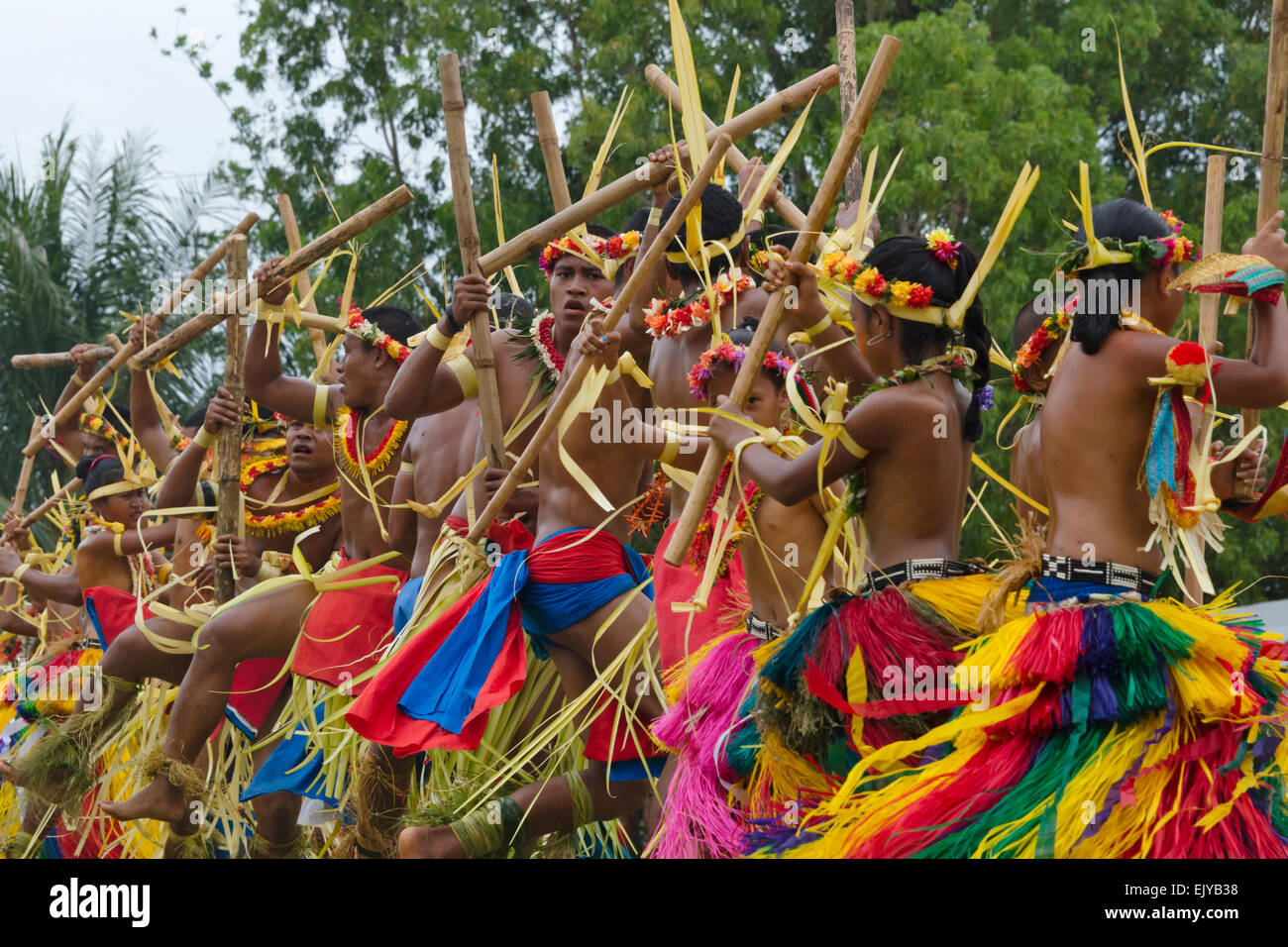 Boys and girls in traditional clothing dancing with bamboo pole at Yap Day Festival, Yap Island, Federated States of Micronesia Stock Photo