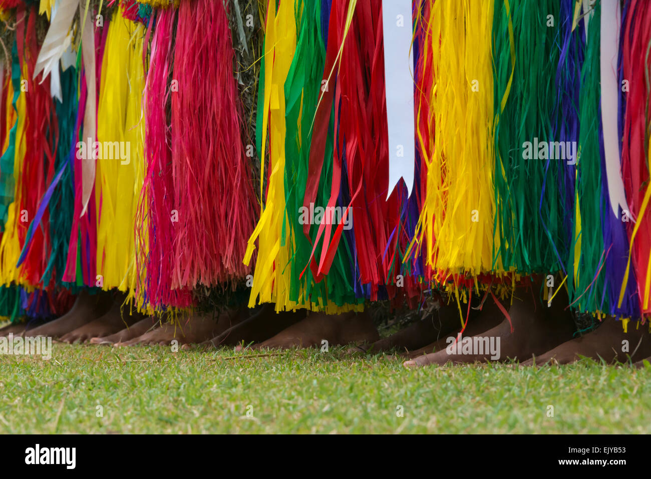 Yapese girls wearing grass skirt at Yap Day Festival, Yap Island