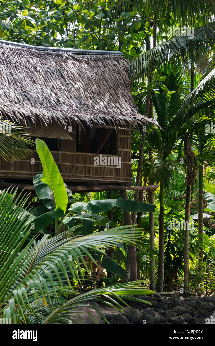 Local house in the forest, Yap Island, Federated States of Micronesia Stock Photo