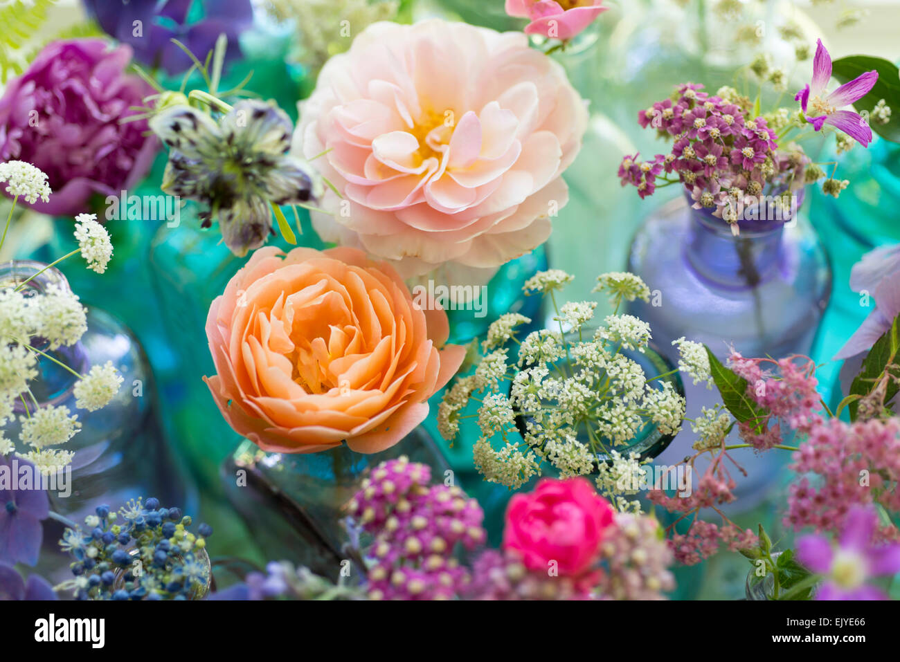 Floral arrangement of cut flowers in blue bottles including roses, hydrangea, peony, yarrow, feverfew and Queen Anne's Lace Stock Photo