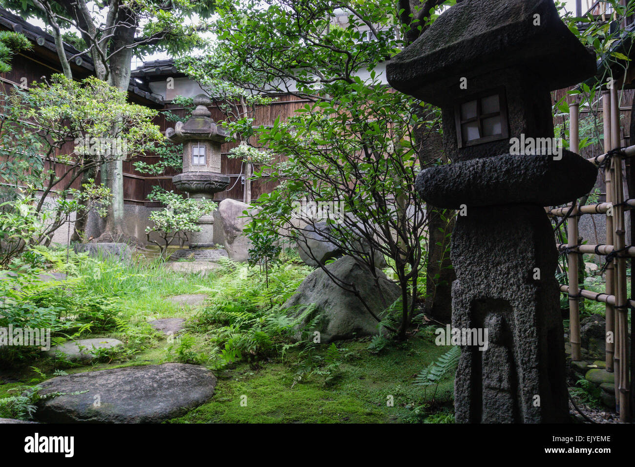 View of a traditional Japanese garden with old lantern in Kyoto, Japan Stock Photo