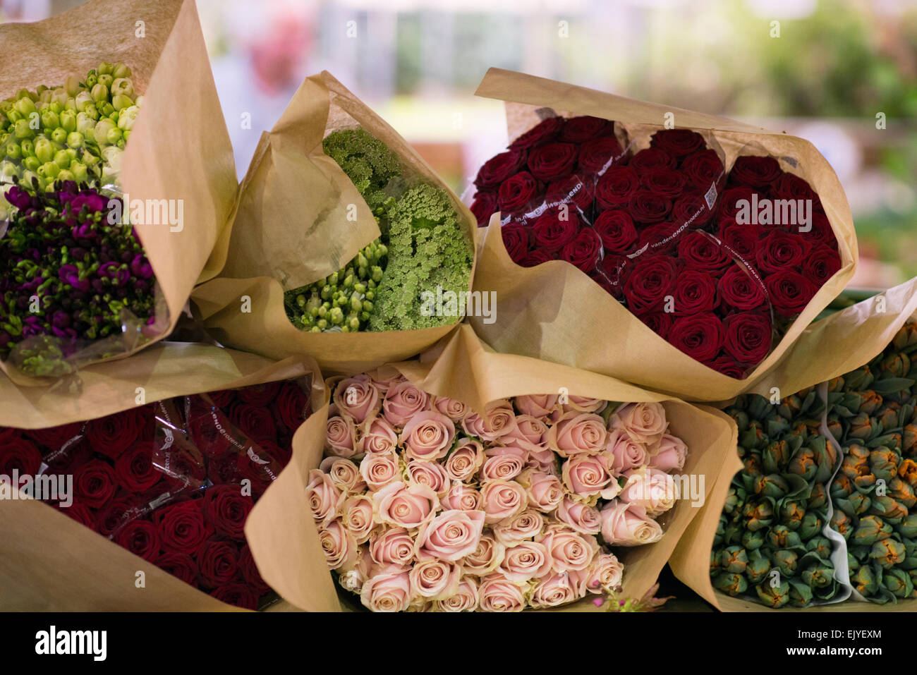 Bundles of cut roses at market in Paris, France Stock Photo Alamy