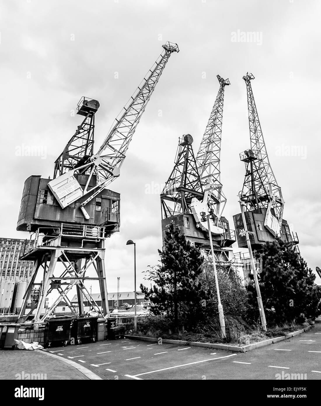 Scotland cranes Black and White Stock Photos & Images - Alamy