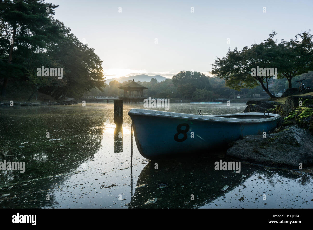 Ukimido Pavilion reflected in a pond at dawn in Nara, Japan. Rowing