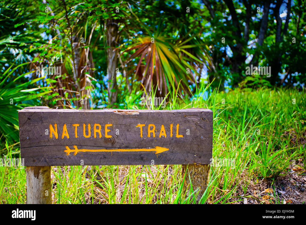 Wooden sign in nature Stock Photo