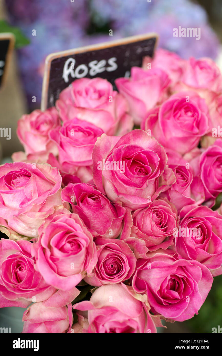Bundles of cut roses at market in Paris, France Stock Photo Alamy