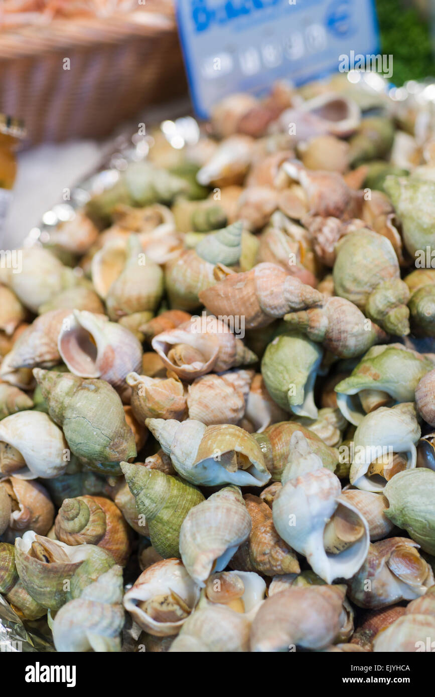 Whelks, sea snails, in shell at outdoor market in Paris, France Stock