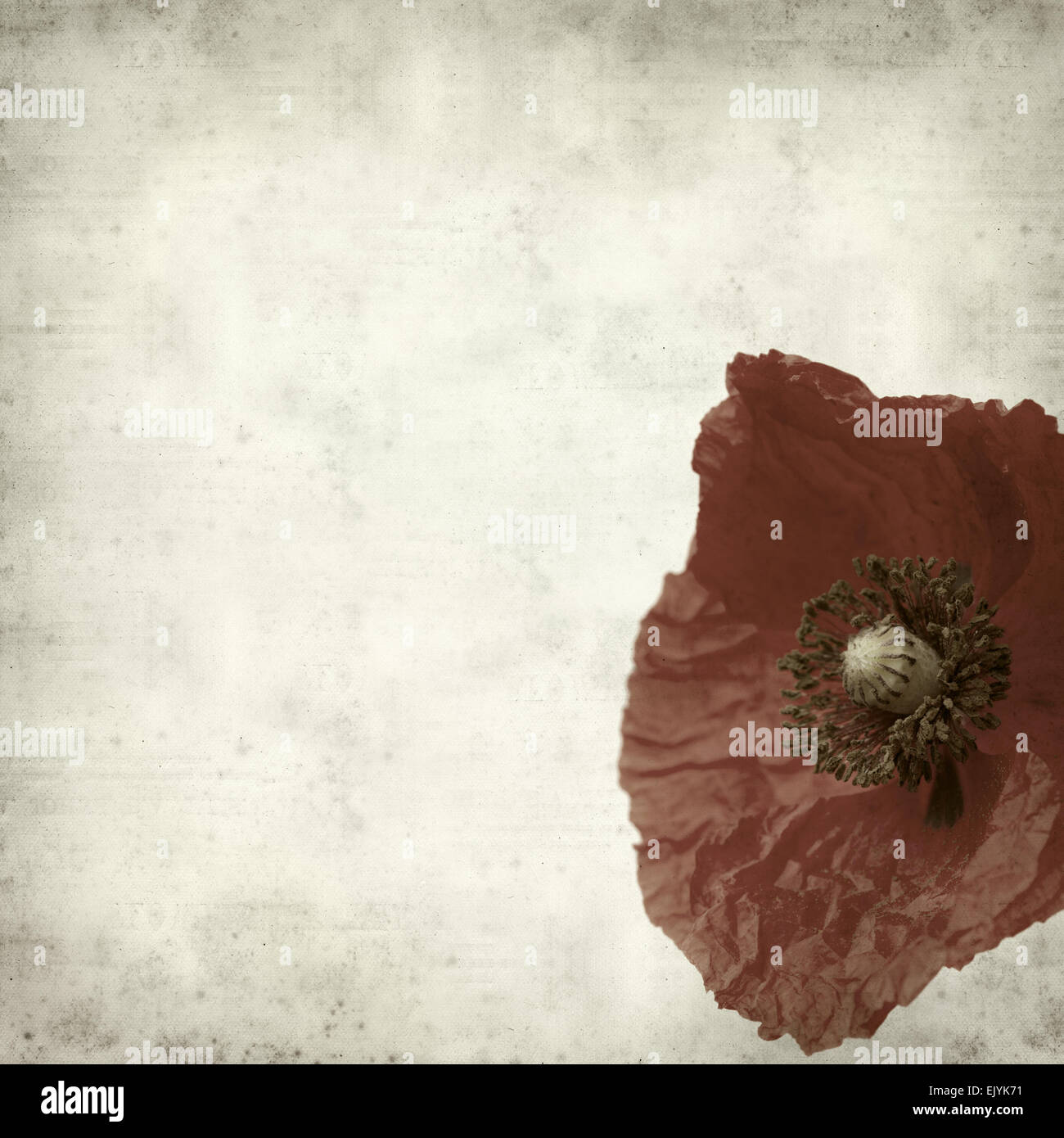 textured old paper background with red poppy flower Stock Photo - Alamy