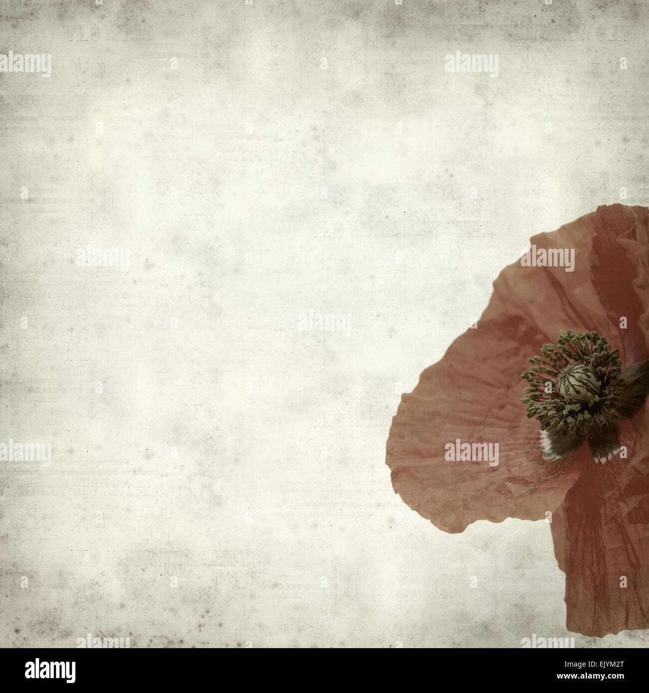 textured old paper background with red poppy flower Stock Photo - Alamy