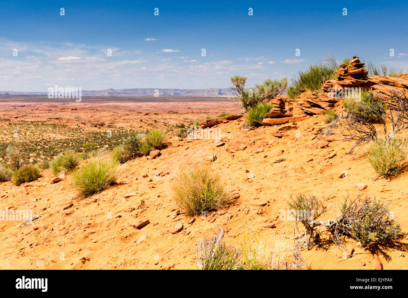 Desert ecosystem hi-res stock photography and images - Alamy