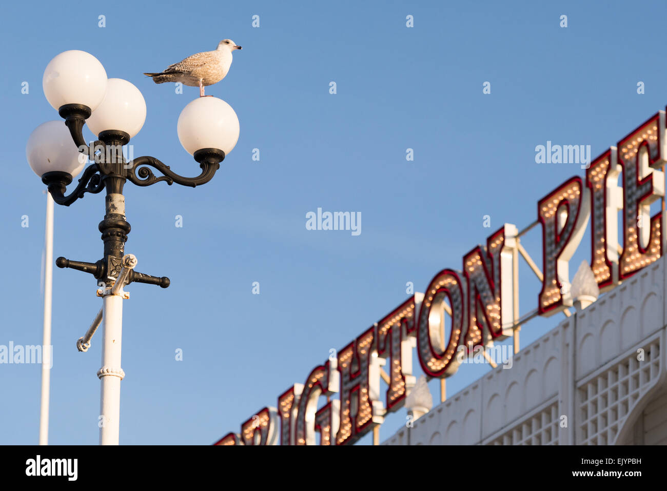 Sea bird eying food on one of Brighton Pier's lamp stands, de-focused Brighton Pier sign in the background Stock Photo