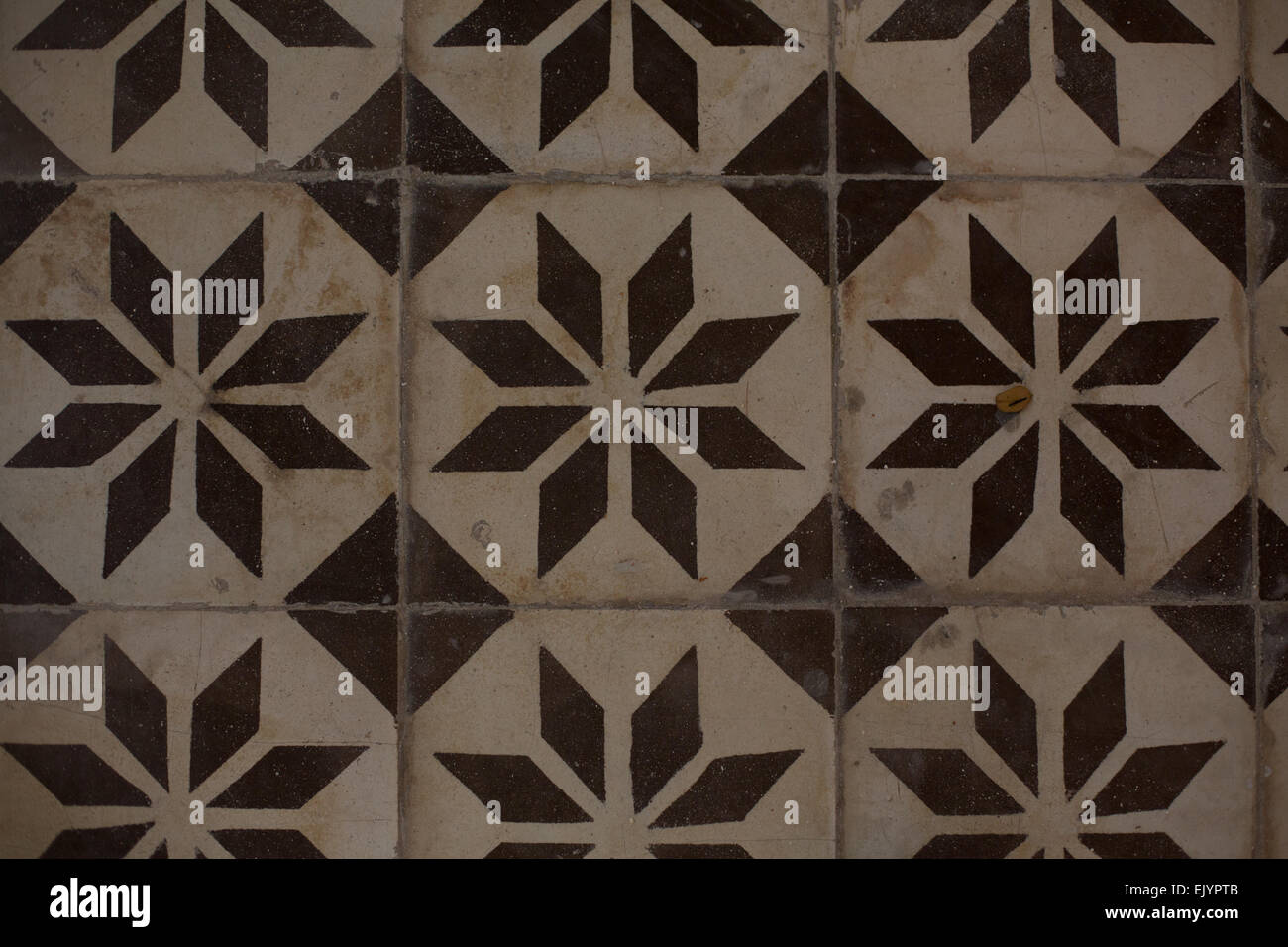 Patterned Ceramic Floor Tiles At Wat Chaloem Phra Kiat Nonthaburi