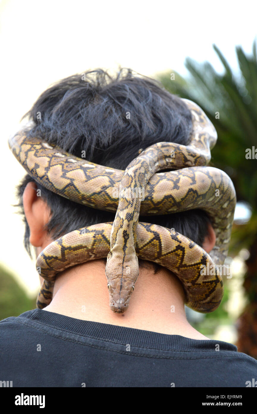 Man With Snake Tongue High Resolution Stock Photography and Images - Alamy